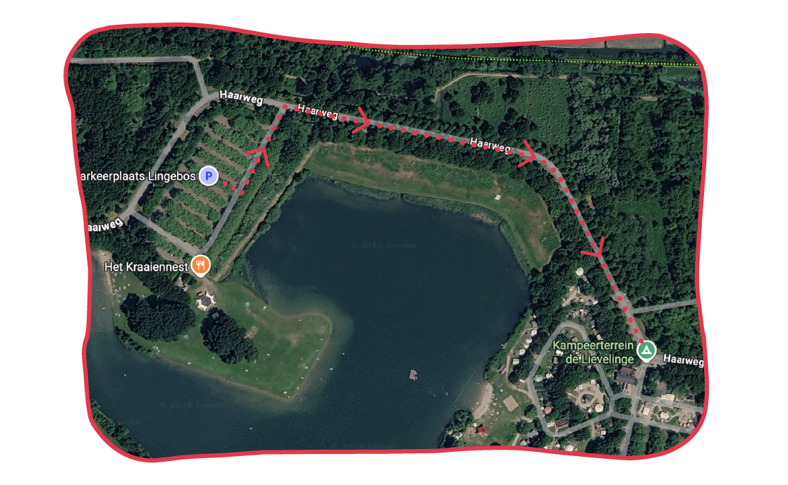 Plattegrond met de route via de Haarweg naar Kampeerterrein de Lievelinge en de parkeerplaats bij Het Kraaiennest